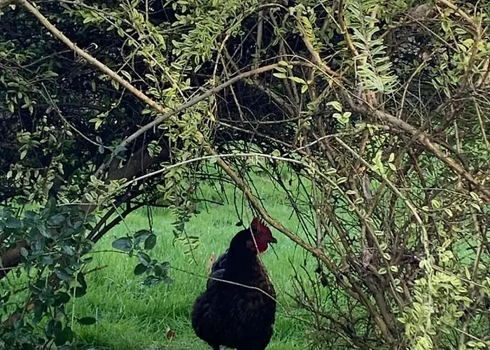 Дом отдыха Domaine De La Denerie With Pool La Jaudonniere