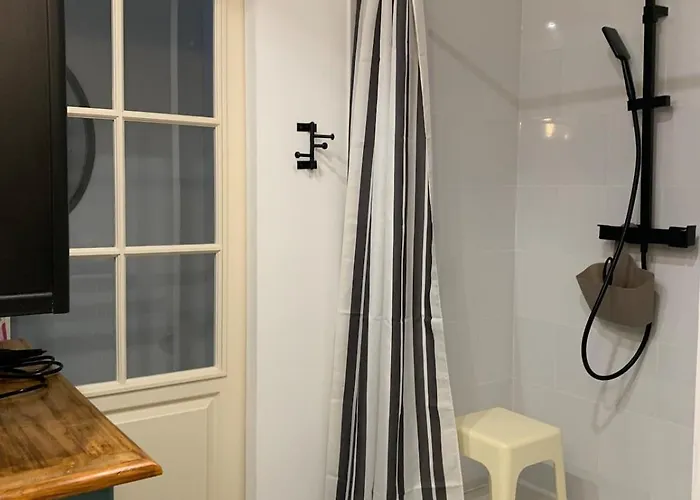 Domaine De La Denerie With Pool *